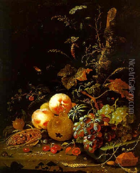 Peaches, Grapes, A Gourd, Cherries, A Corn Cob, Ears Of Corn With Butterflies, And A Snail By A Tree Stump Oil Painting - Abraham Mignon