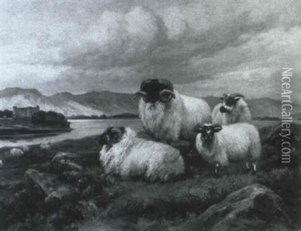 Sheep In A Highland Landscape Oil Painting - Wright Barker