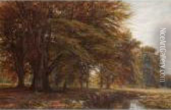 The Beech Wood Oil Painting - Edmund George Warren