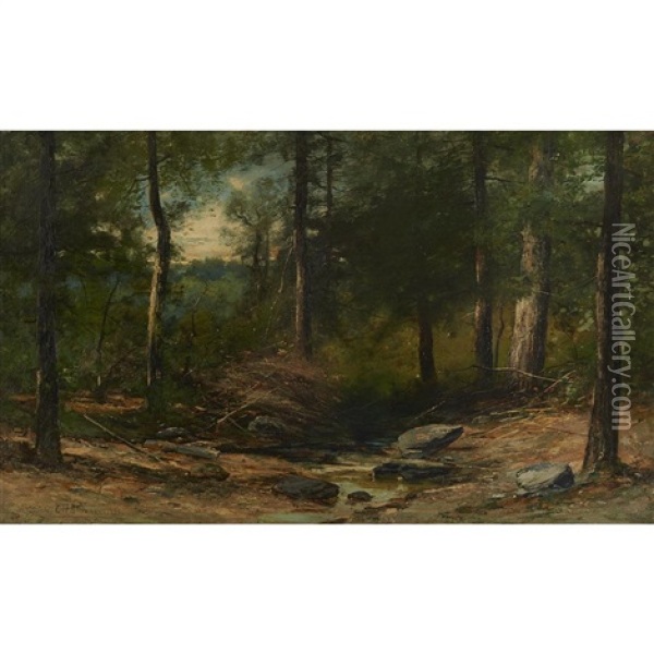 Woodland Stream Oil Painting - Christopher H. Shearer