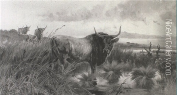Cattle In The Roman Campagna Oil Painting - Pietro Barucci