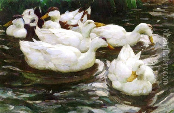 Six Ducks Feeding Oil Painting - Alexander Max Koester