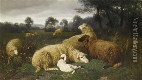 Ruhende Schafe Oil Painting - Johann Baptist Hofner