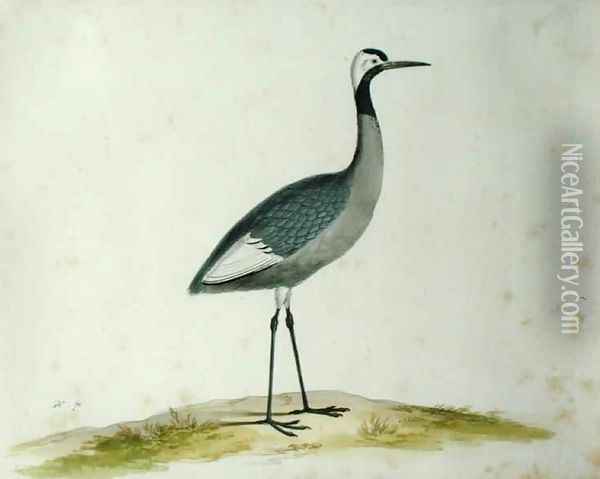 A Crane Oil Painting - Pieter the Younger Holsteyn