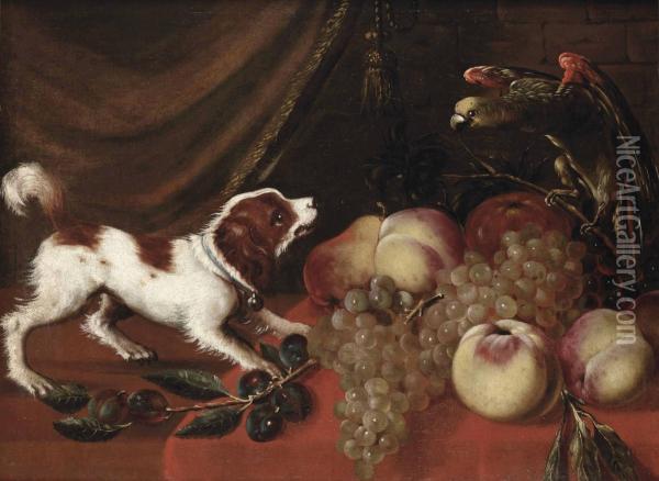 A Dog Barking At A Parrot On A Table With Peaches, Prumes And White Grapes Oil Painting - Jan Pauwel Gillemans The Elder