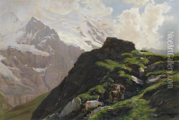 Mountain Goats With The Jungfrau In The Background Oil Painting - Albert Lugardon