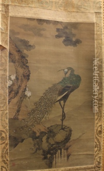 Peacock In A Landscape Oil Painting -  Shiseki