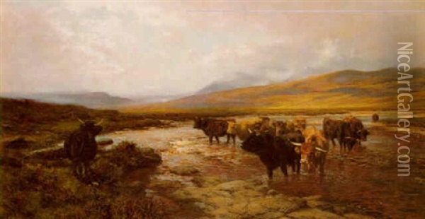 Cattle Crossing A Stream - Argylshire Oil Painting - Henry William Banks Davis