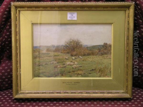 Shalford, Surrey Oil Painting - Claude Hayes
