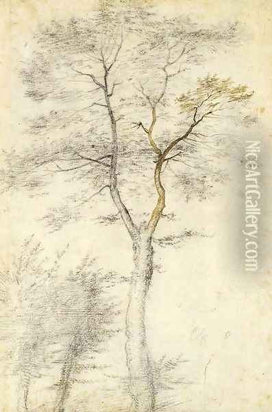 Study of trees and two saplings Oil Painting - Fra Bartolommeo della Porta