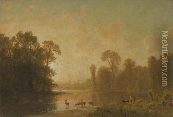Twilight With Deer Oil Painting - Albert Bierstadt
