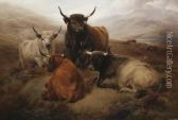 Highland Cattle In An Open Landscape Oil Painting - William Watson