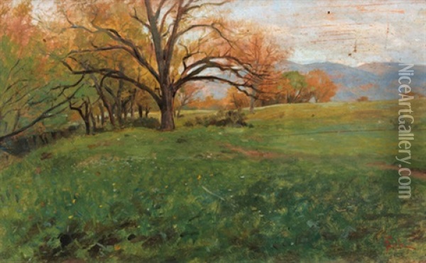 Italienische Feldlandschaft Im Herbst Mit Baumen Oil Painting - Francesco Gioli
