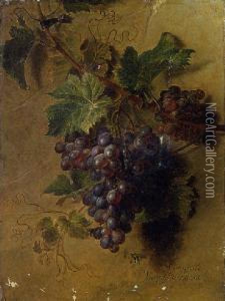 Grapes Hanging On A Wall Oil Painting - Cornelis van Spaendonck