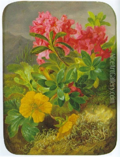 Alpenblumenstilleben Oil Painting - Josef Schuster