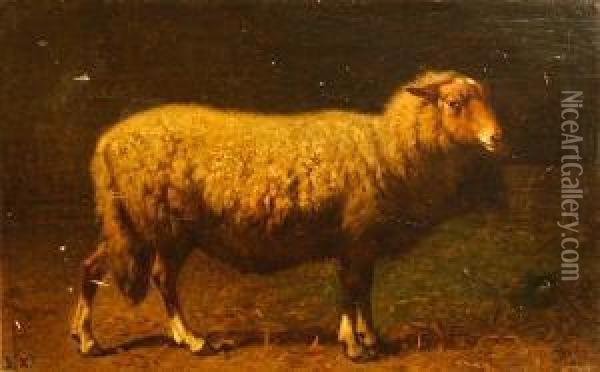 A Study Of A Sheep Oil Painting - Louis Marie Dominique Romain Robbe