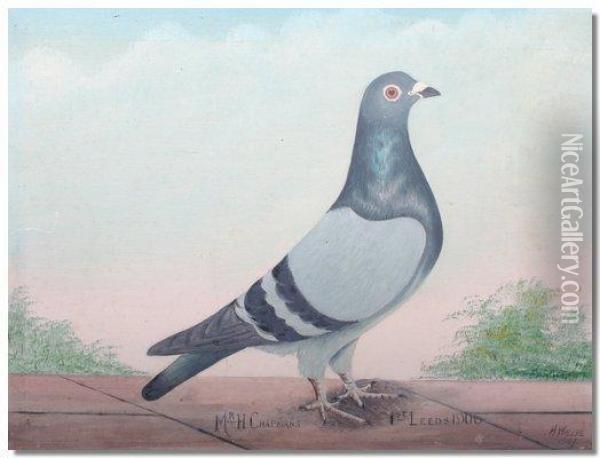 Mr H Chapman's Racing Pigeon First Leeds 1906 Oil Painting - Alfred Wallis