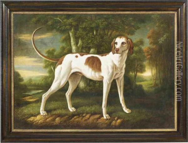 A French Hunting Dog In A Wooded River Landscape Oil Painting - Jean-Baptiste Oudry