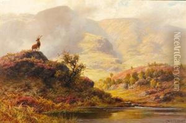The Monarch Of The Glen Oil Painting - Charles Stuard