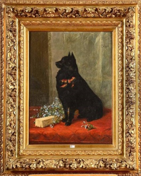 Portrait Du Chien Black Oil Painting - Charles van den Eycken