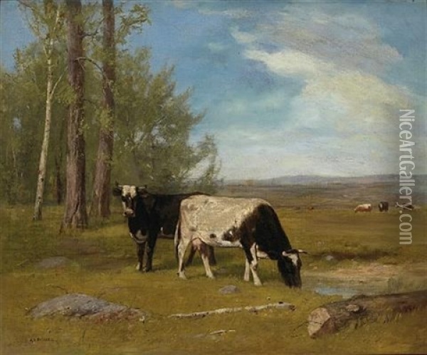 Cows Grazing In A Meadow Oil Painting - Albion Harris Bicknell