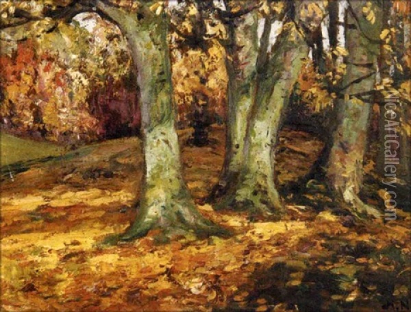 Autumn At Gerards Cross Oil Painting - Pieter Hugo Naude