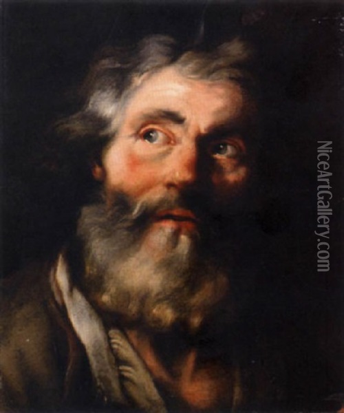 The Head Of A Bearded Man Oil Painting - Noel Halle