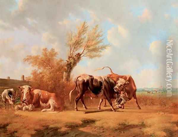 Fighting bulls Oil Painting - Albertus Verhoesen