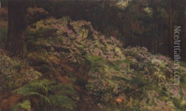 A Woodland Scene Oil Painting - Hugh Cameron