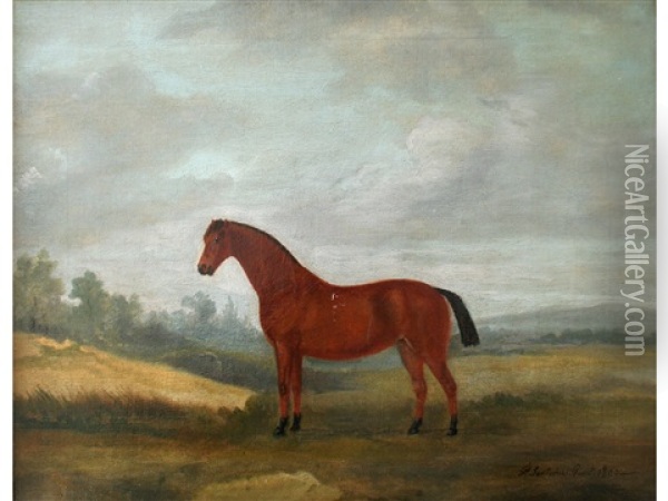 Bergamot, A Light Bay Horse In A Landscape Oil Painting - Francis Sartorius the Elder