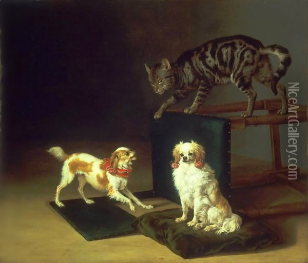 Cat Playing with Two Dogs Oil Painting - Paulus Potter