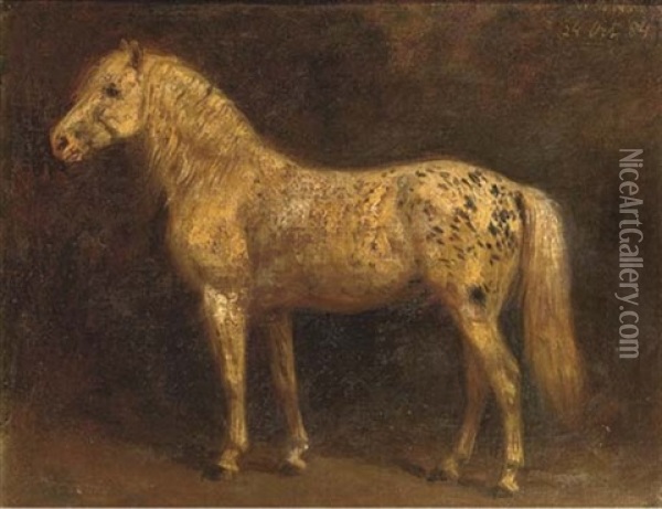 A White Horse Oil Painting - Willem Carel Nakken
