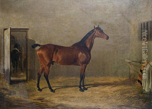 Study Of A Horse Oil Painting - John Frederick Herring Snr