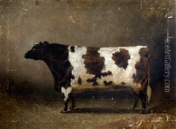 The Wimpole Heifer, 