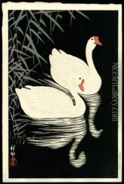 Two Geese Swimming Near Reeds Oil Painting - Ohara Koson