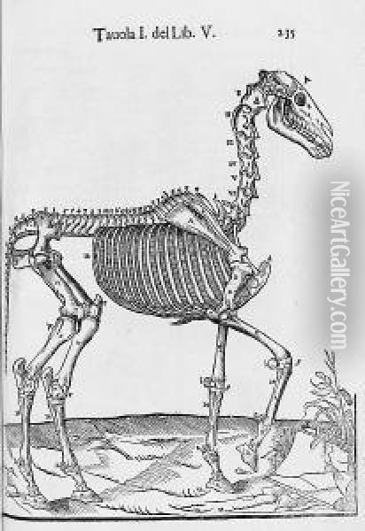 Ruini (carlo)
Anatomia Del Cavallo, Infermita Et Suoi Rimedii, 2 Vol. In One Oil Painting - Carlo Arpini