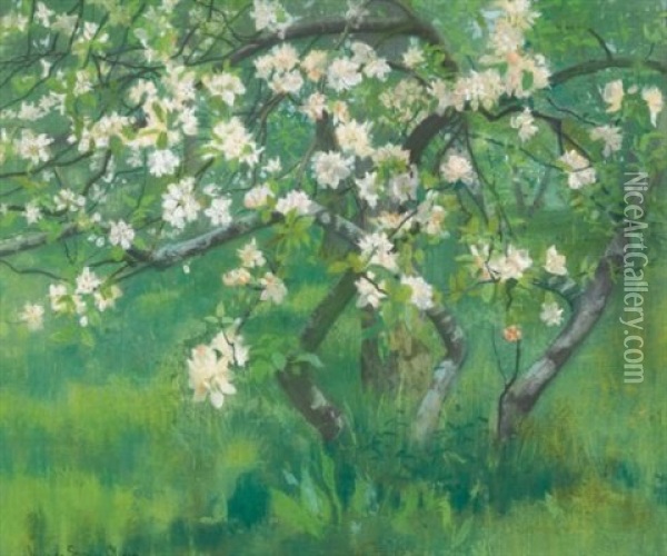Apple Tree In Blossom Oil Painting - William Stott