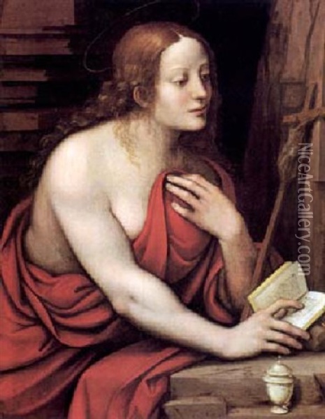 La Maddalena Oil Painting -  Giampietrino