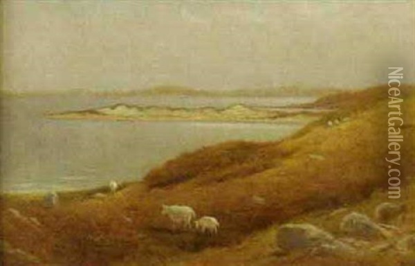 Coastal Scene With Grazing Sheep Oil Painting - Charles Henry Gifford