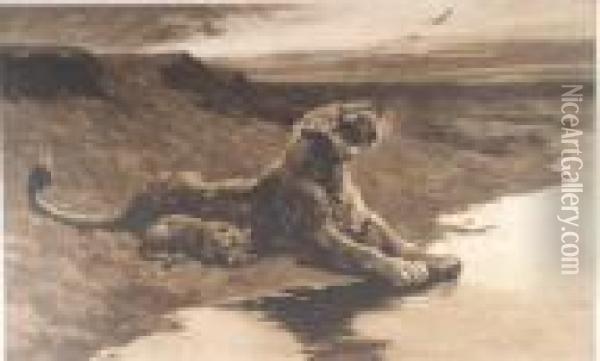 Lioness And Cub Oil Painting - Herbert Thomas Dicksee