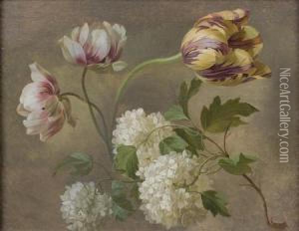 Etude De Tulipes Et Hortensias Oil Painting - Jan Frans Van Dael