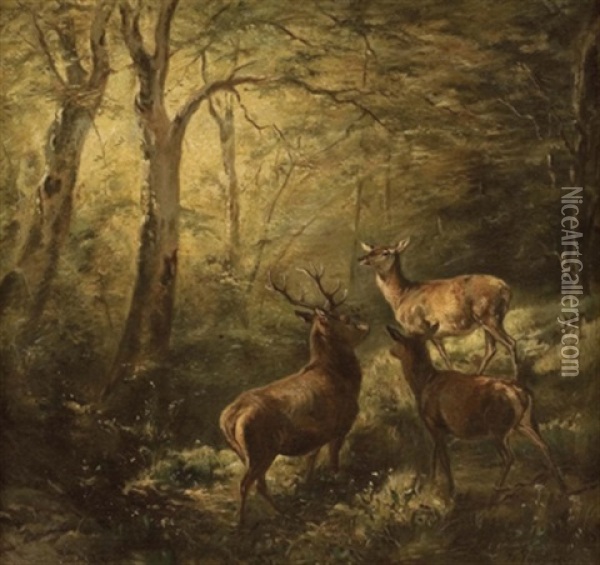 Rotwildfamilie Im Wald Oil Painting - Franz Xaver von Pausinger