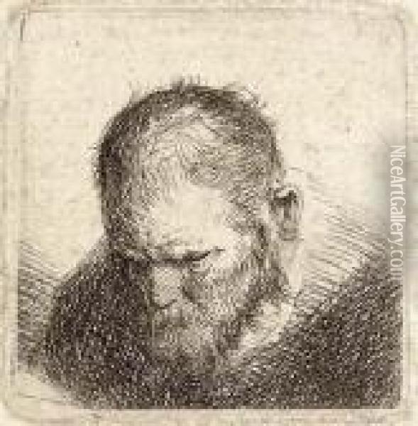 A Bearded Man Looking Down Oil Painting - Rembrandt Van Rijn