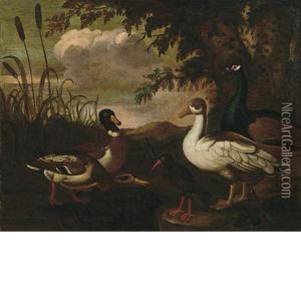 Volatili Oil Painting - Angelo Maria Crivelli, Il Crivellone