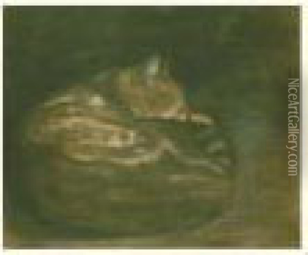 Le Chat Endormi Oil Painting - Theophile Alexandre Steinlen