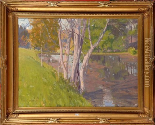 Paysage A L'etang Oil Painting - Auguste Donnay