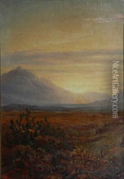 Sunset On Little Karoo Oil Painting - Charles Rolando