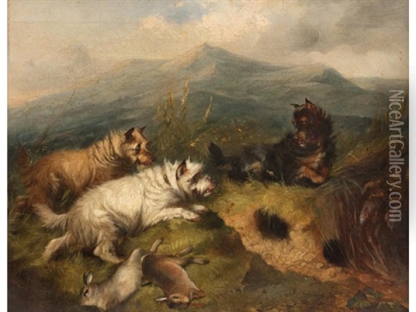 Terriers Rabbiting In A Highland Landscape Oil Painting - Edward Armfield