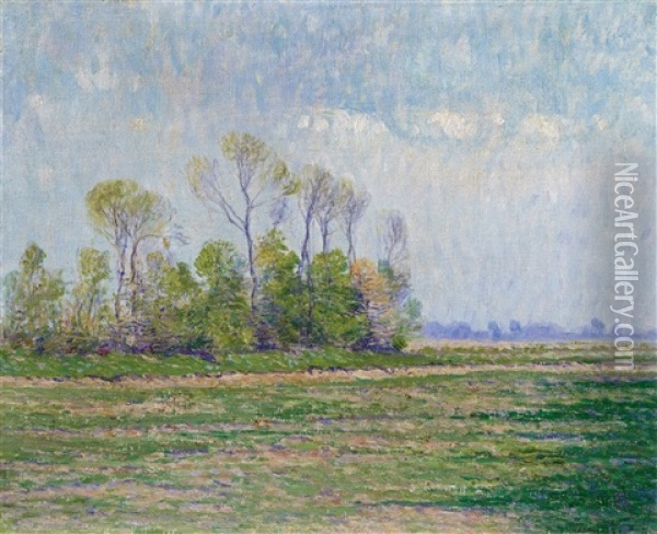Weite Landschaft Bei Knokke Oil Painting - Paul Baum
