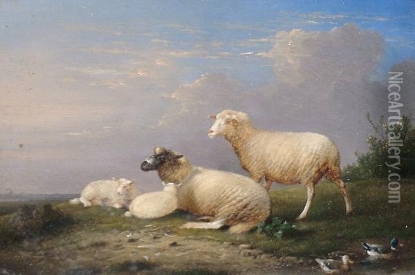 Sheep Beside Ducks On A Pond; And A Companion Oil Painting - Franz van Severdonck